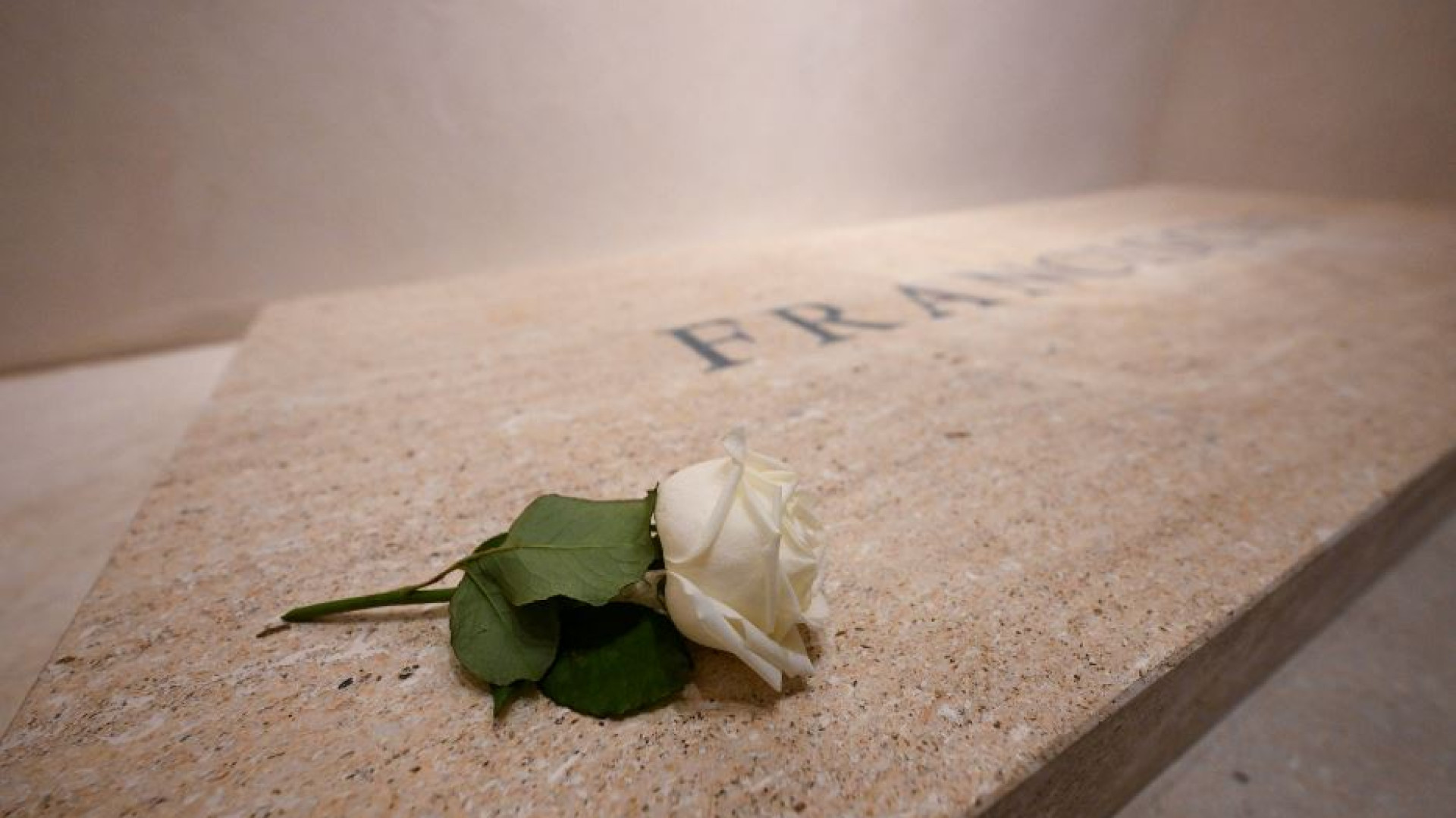 Immagine di Teresa di Lisieux e la rosa bianca: la devozione di Francesco