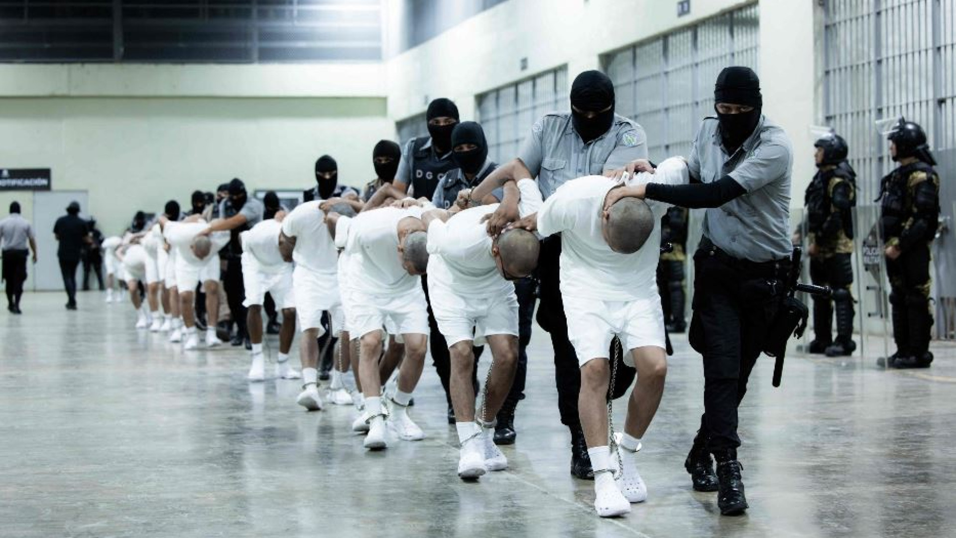 Immagine di Trump ricorre ai «poteri di guerra» per 261 deportazioni nel Salvador