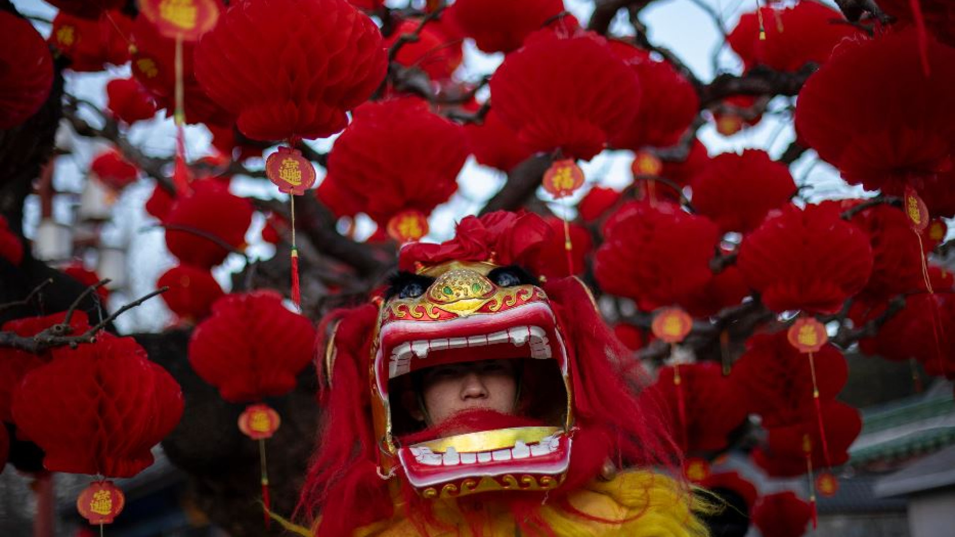 Immagine di La Cina in festa per l'inizio dell'Anno del Serpente