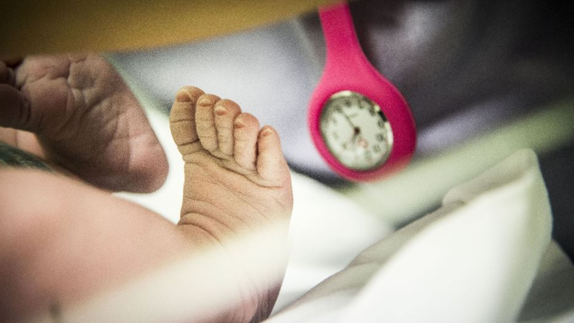 Immagine di La speranza ci guida, è tempo per generare