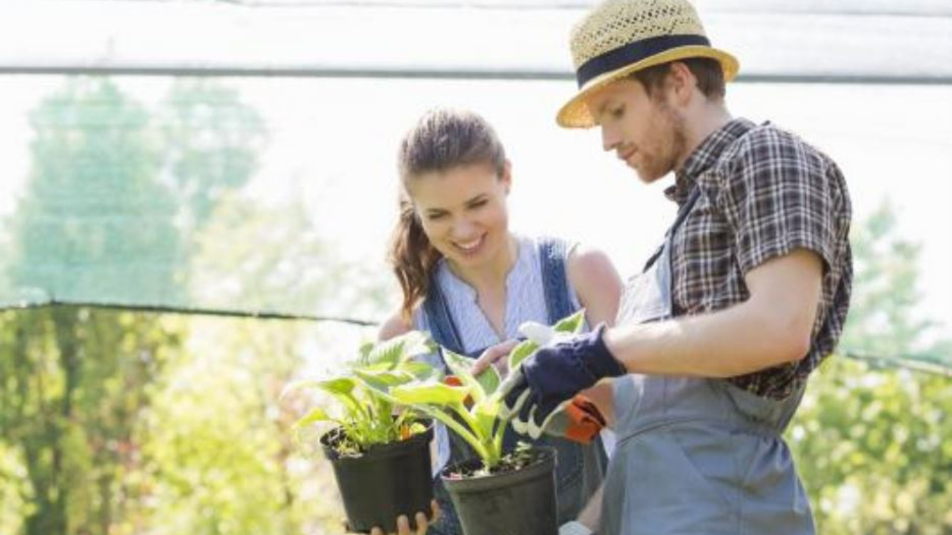 Immagine di Per le Coop agricole il bisogno di diventare grandi