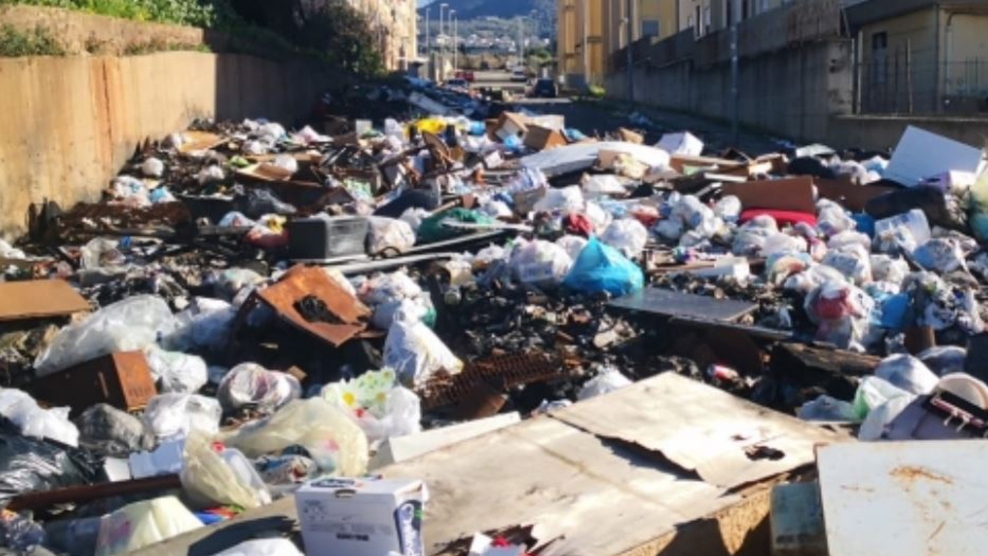 Immagine di Foggia rischia di diventare una nuova Terra dei fuochi