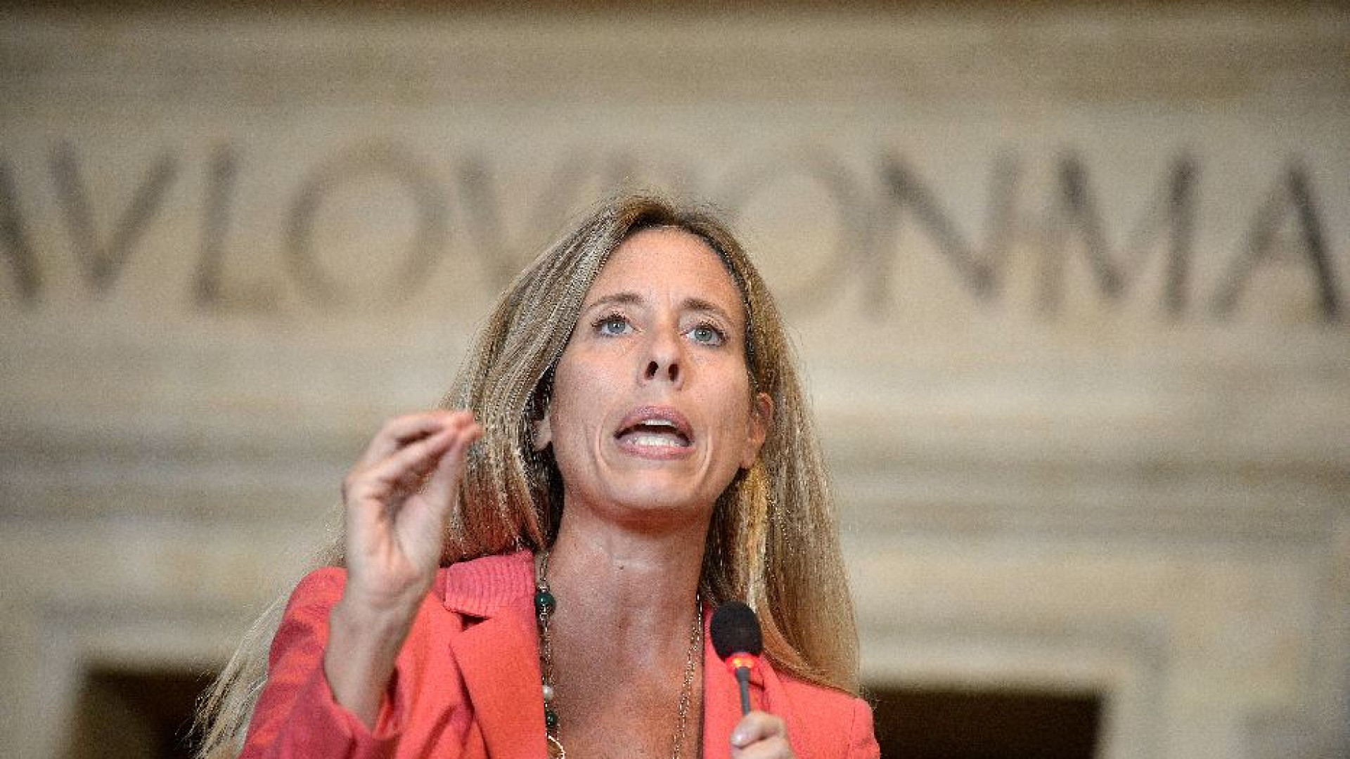 Immagine di Maternità aspirazione e missione. Bufera sulle parole della senatrice Fdi