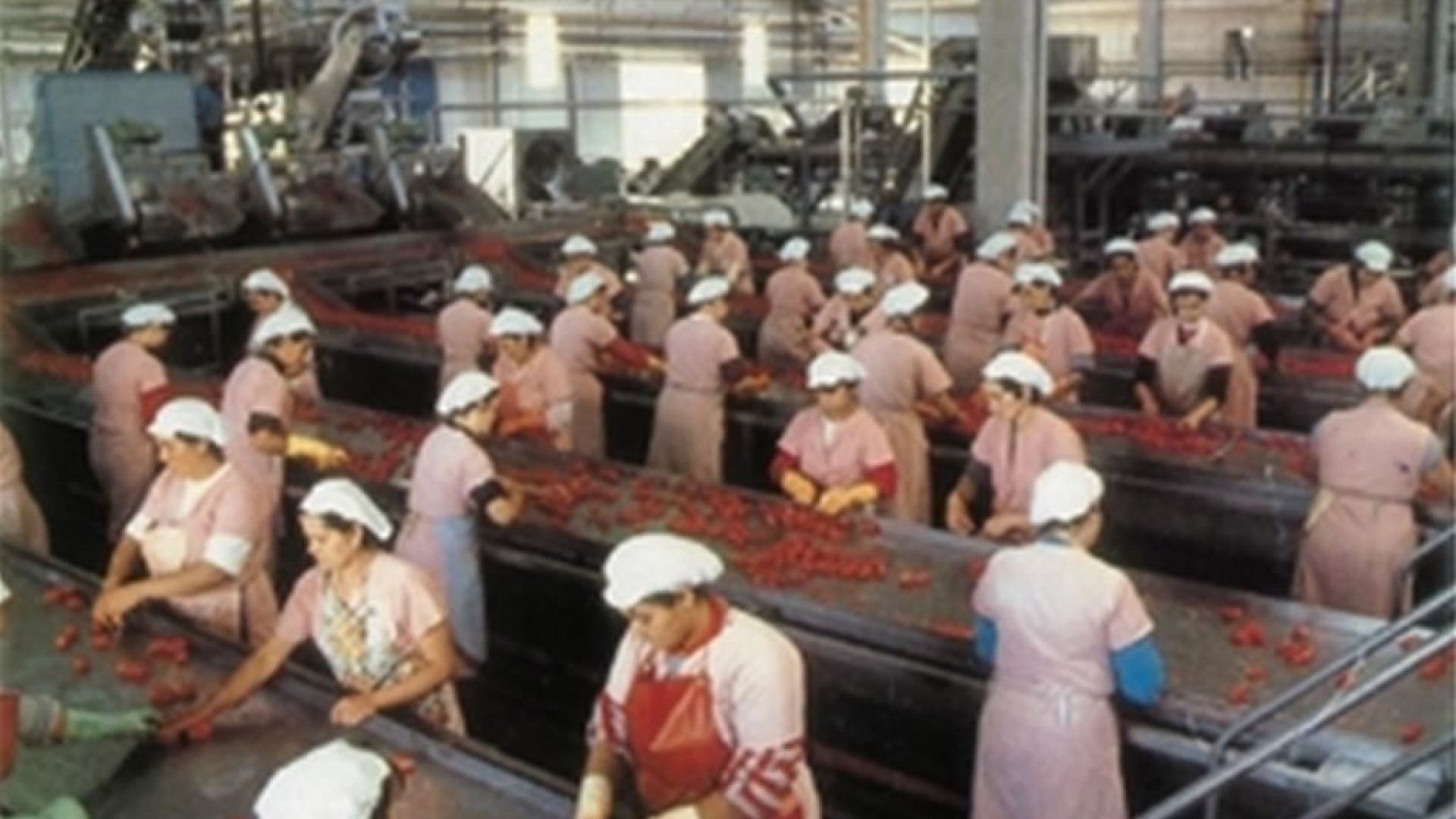 Immagine di Assunzioni in crescita ad agosto