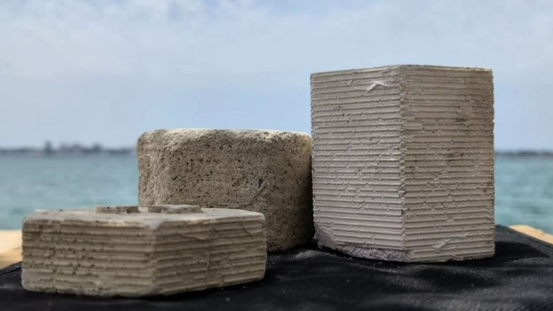 Immagine di Dai gusci delle cozze si fa un cemento ecosostenibile