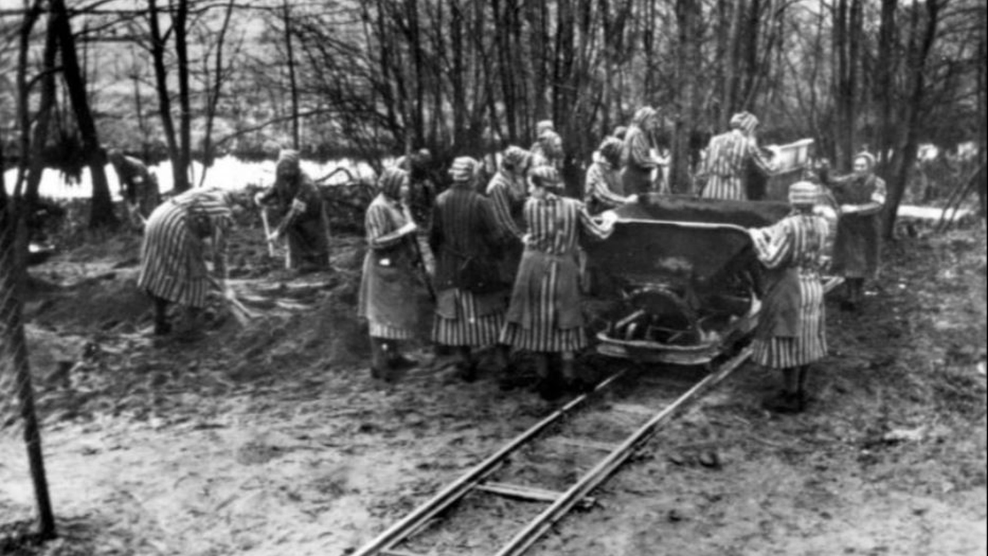 Immagine di La forza delle donne nell’opporsi al male della Shoah