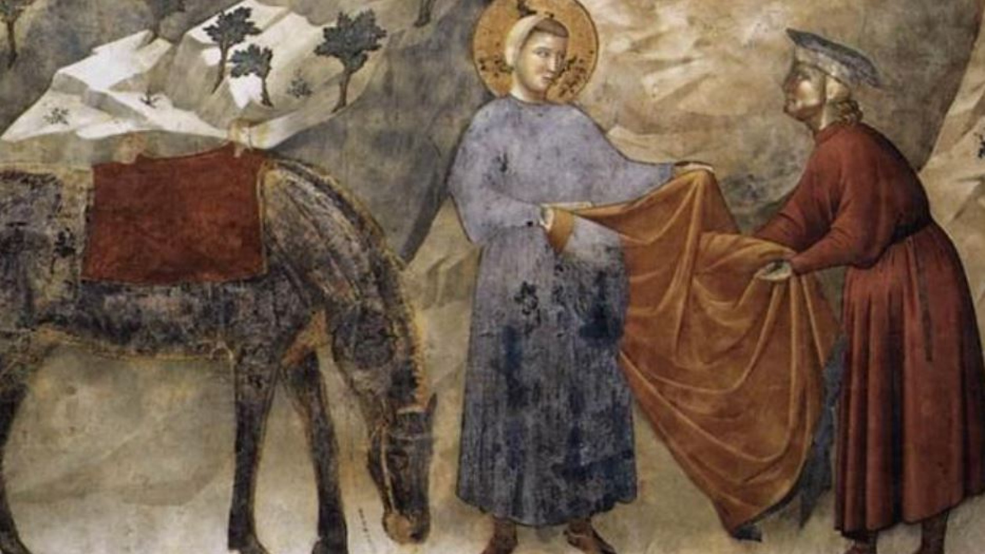 Immagine di San Francesco non era un paladino dell'ambiente
