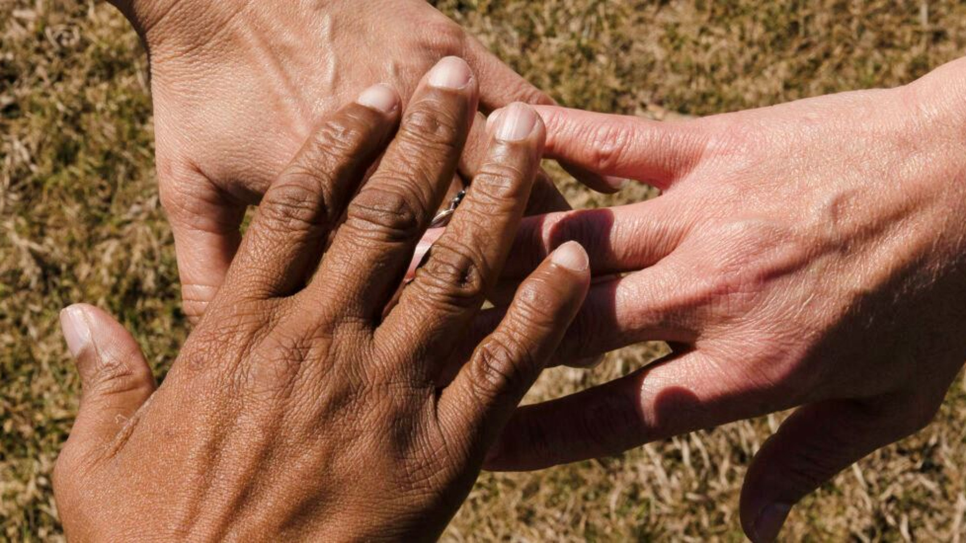 Immagine di Imprese sociali controcorrente: per i giovani sono tra i posti più ambiti