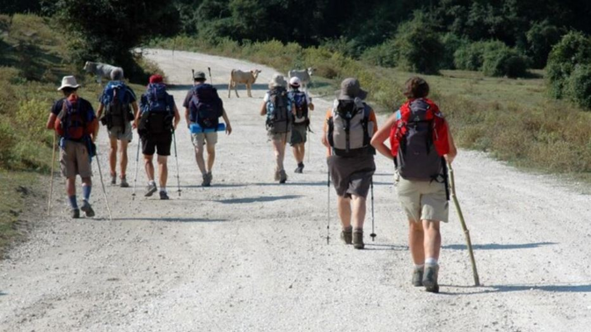 Immagine di In Manovra misure per cammini religiosi, turismo accessibile e Giubileo