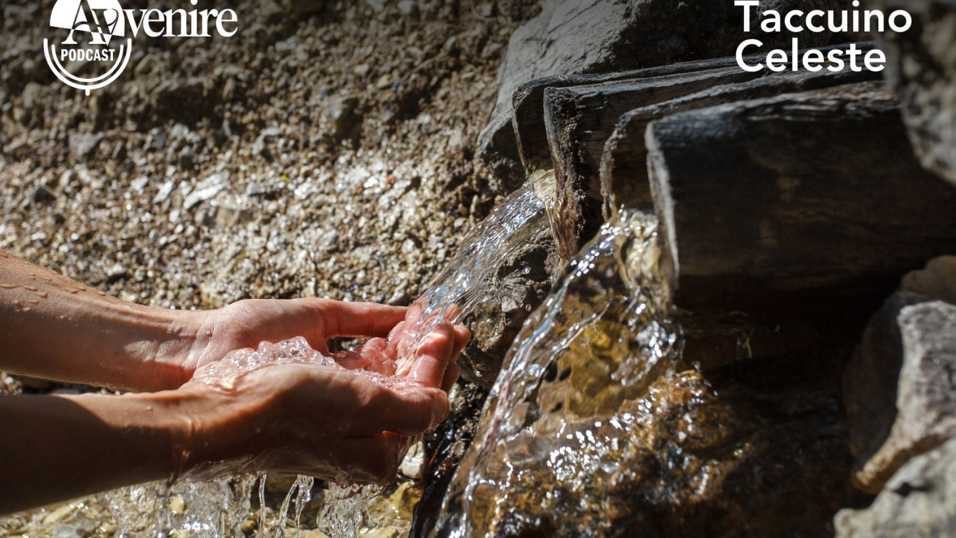 Immagine di Acqua benedetta e santi in bottiglia
