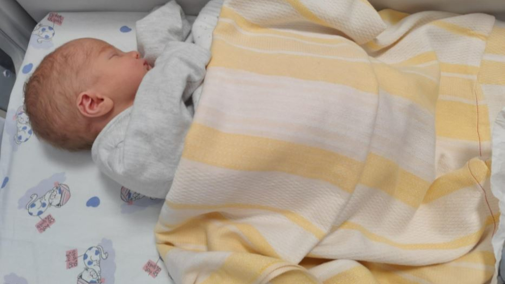 Immagine di Nascite record alla Clinica Mangiagalli: 39 neonati in 36 ore