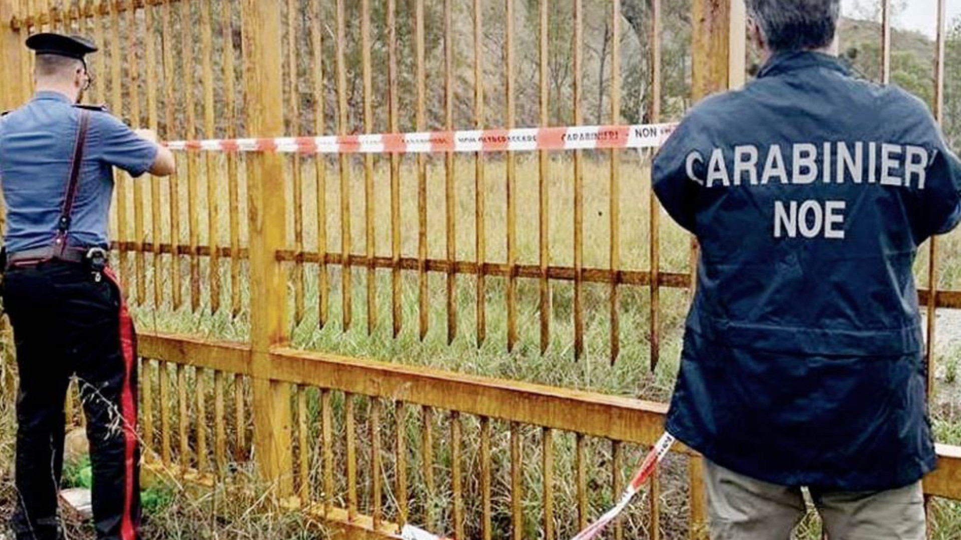Immagine di Puglia, Calabria, Basilicata: così si esporta la Terra dei fuochi