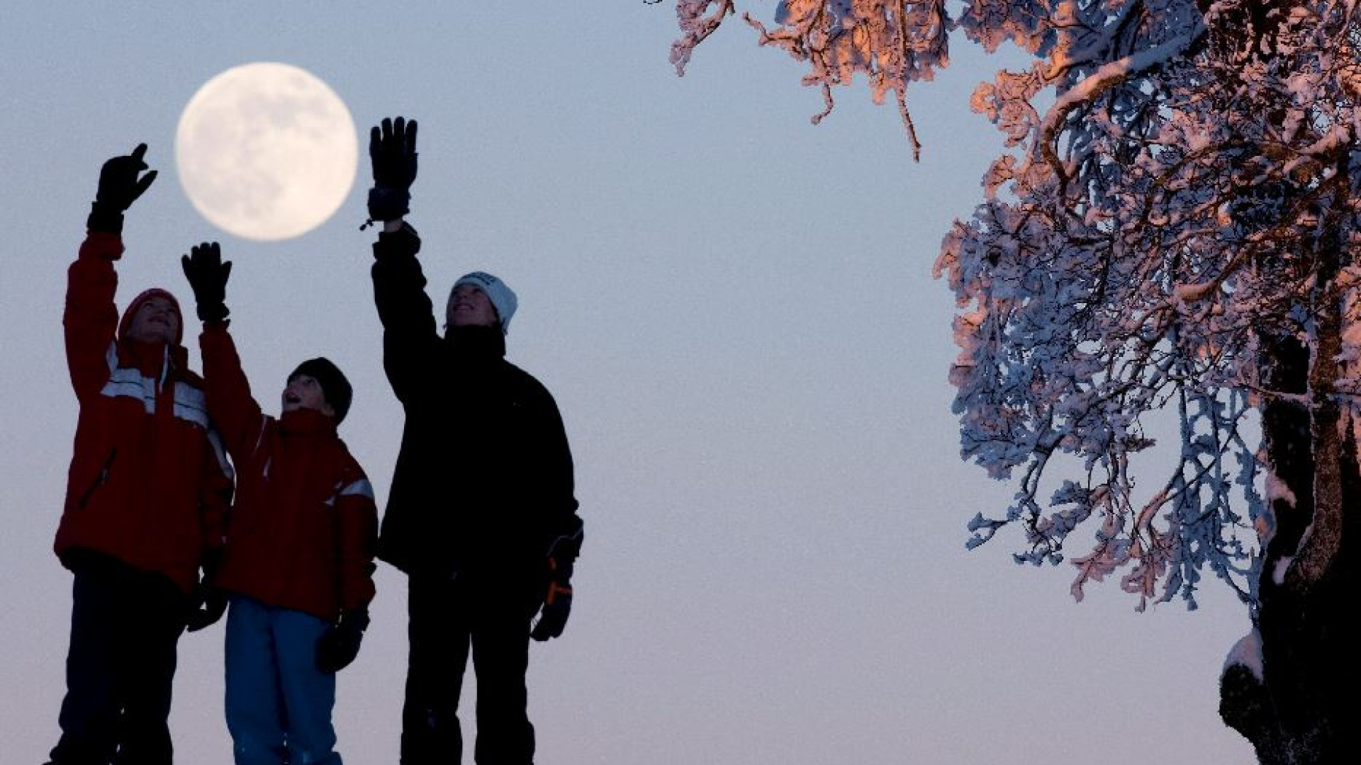 Immagine di Che affarone, la Luna. Ma adesso servono regole