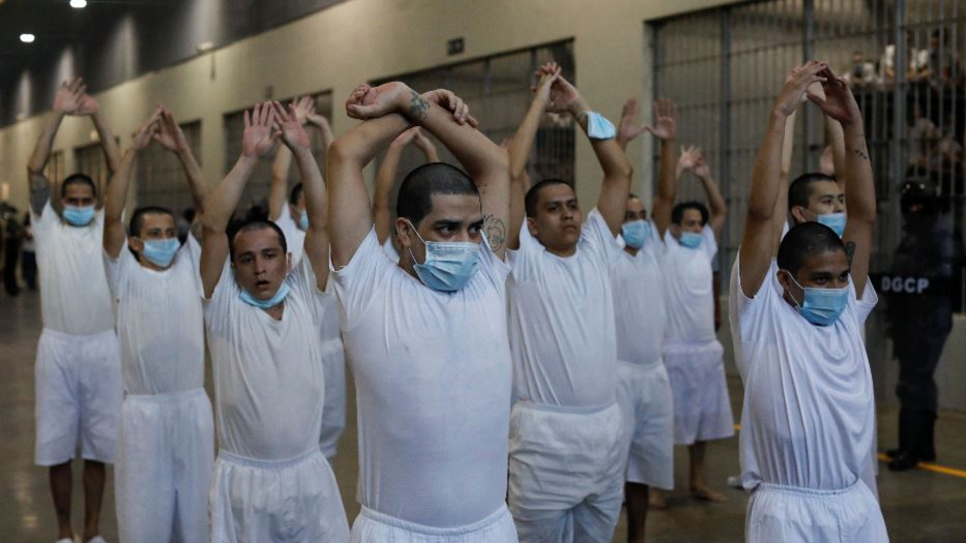 Immagine di Trump vuole “tracciare” i deportati come i pacchi di Amazon