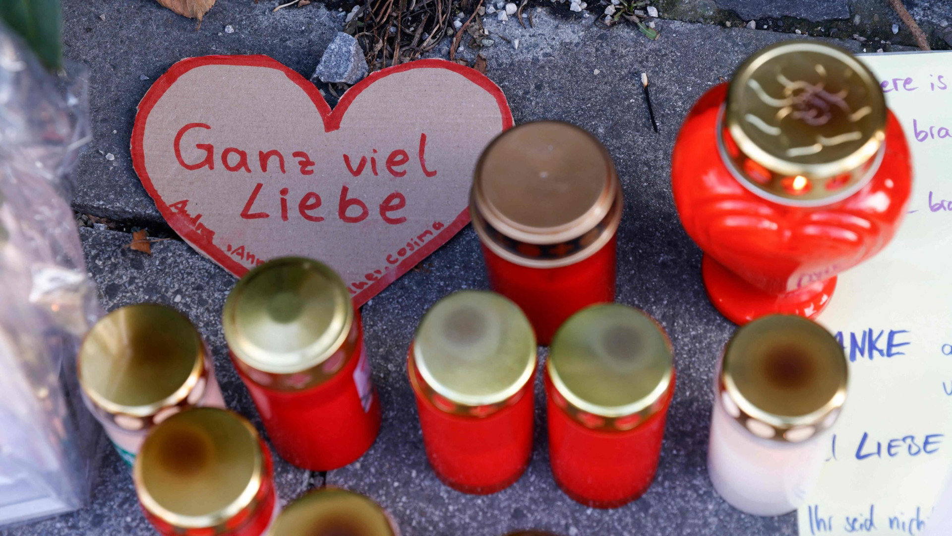 Immagine di Agguato in Austria: un morto e quattro feriti