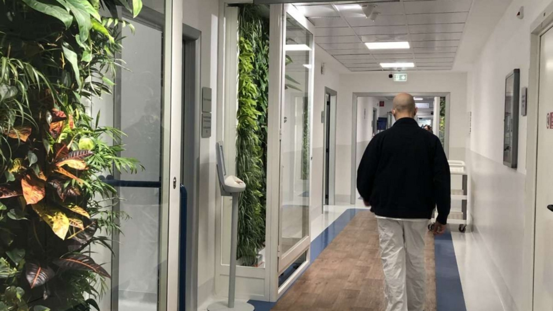 Immagine di Fioriscono i giardini verticali nel centro di Radioterapia oncologica
