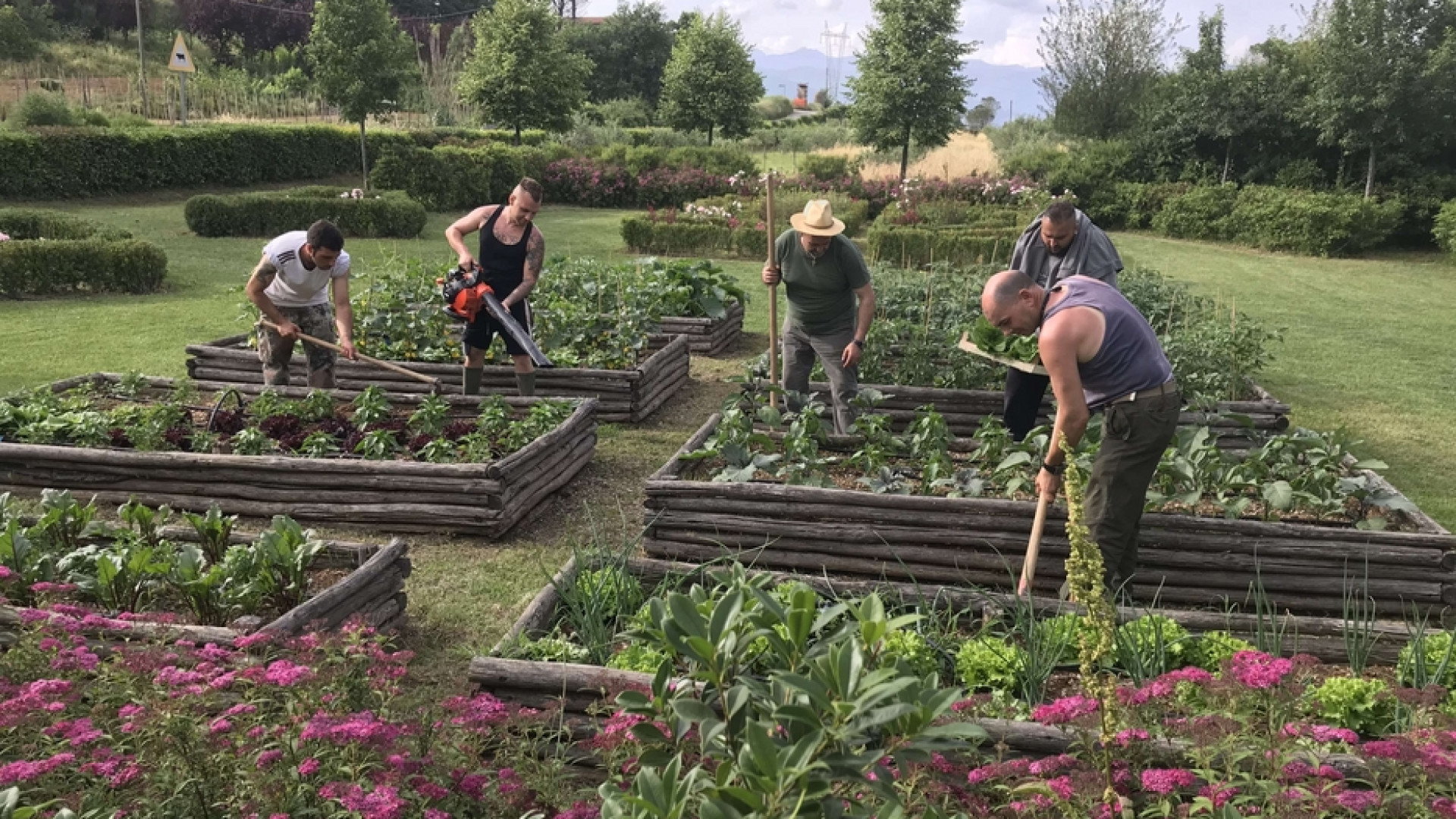 Immagine di I giardini terapeutici di Mati: curare la natura, curare l’anima