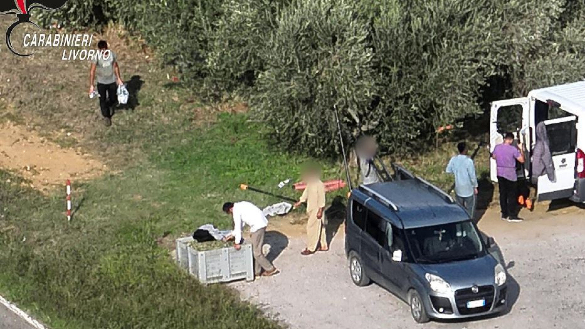 Immagine di Caporalato nei campi toscani: 10 ore al giorno per pochi euro