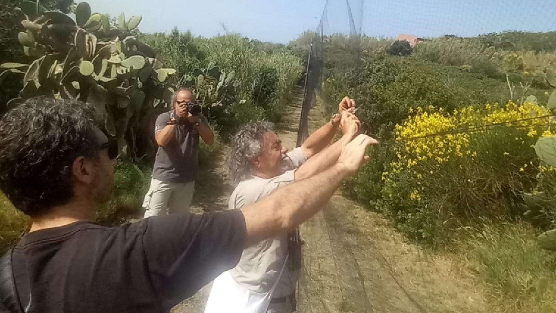 Immagine di In 100 anni di migrazioni degli uccelli il "termometro" della Terra