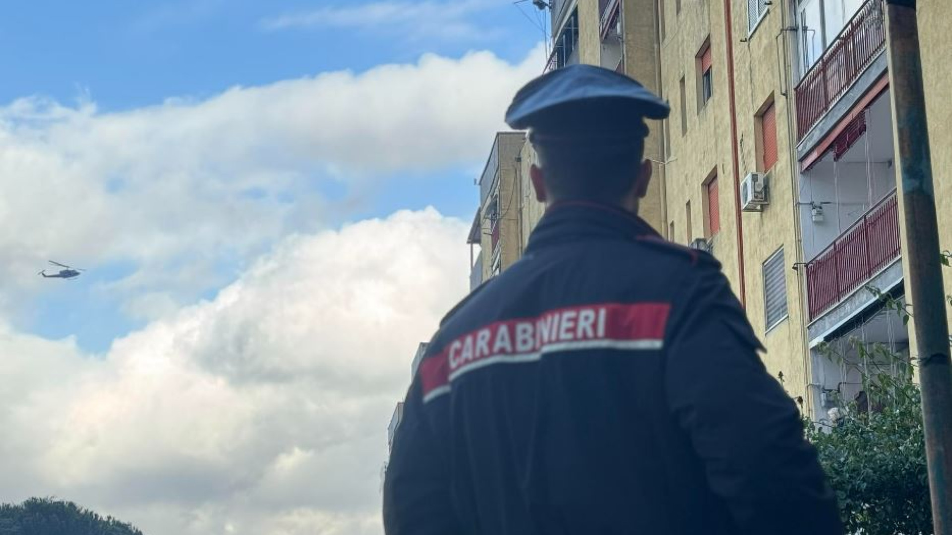 Immagine di Truffavano fingendosi carabinieri, 29 arresti