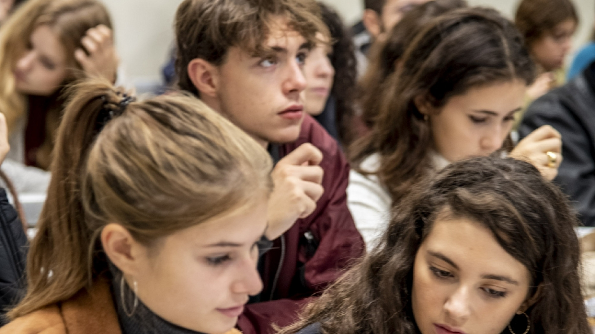 Immagine di Cultura e informazione, la sfida di quattro collegi universitari