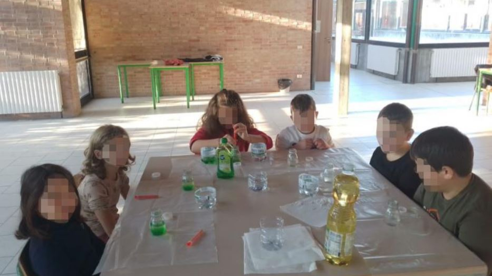 Immagine di Sant’Erasmo, l’isola che c’è e che resiste. Grazie a una scuola con sei alunni