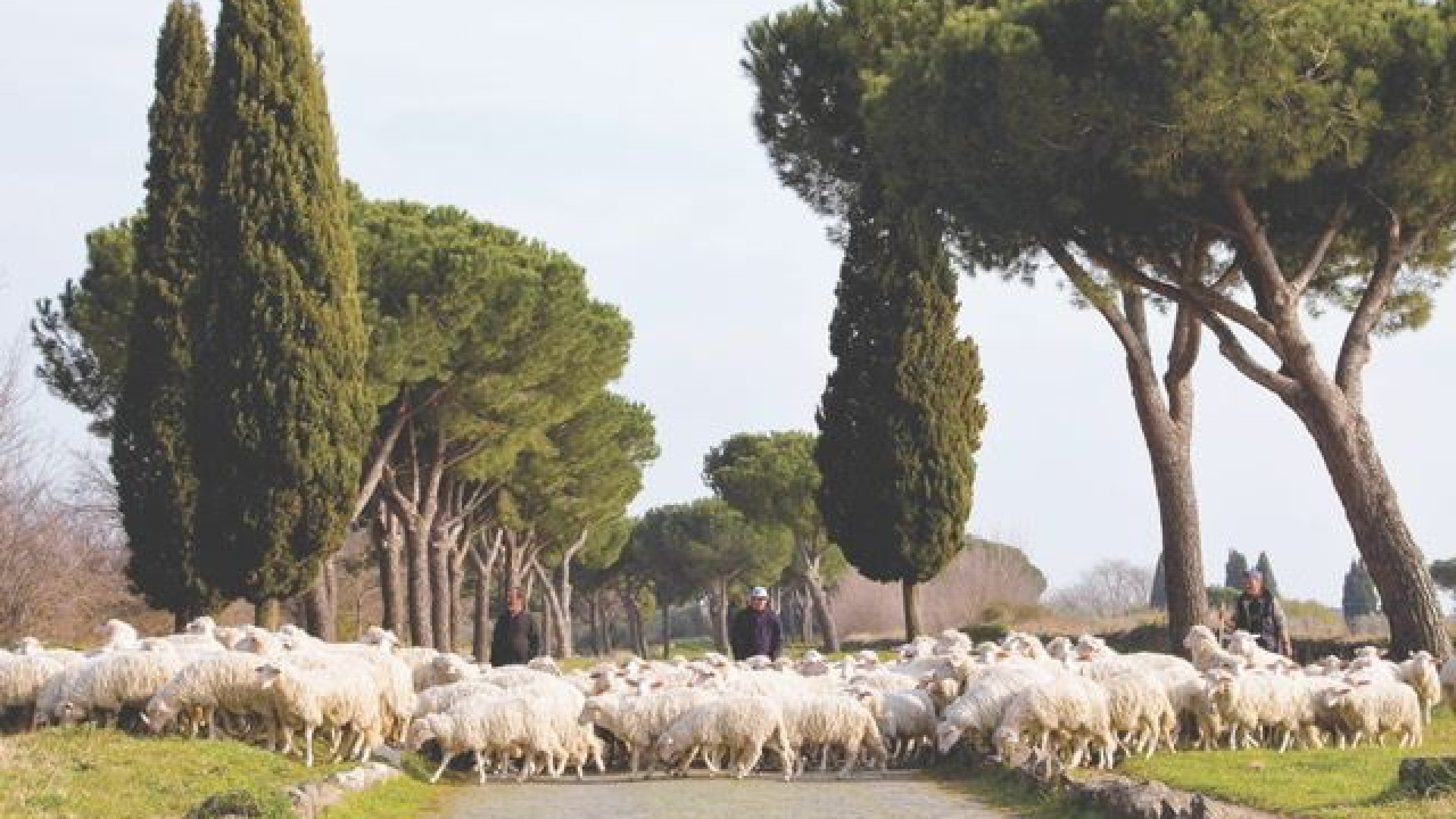 Immagine di Campagna contro il mercato "low cost" dal Consorzio dell'abbacchio romano Igp