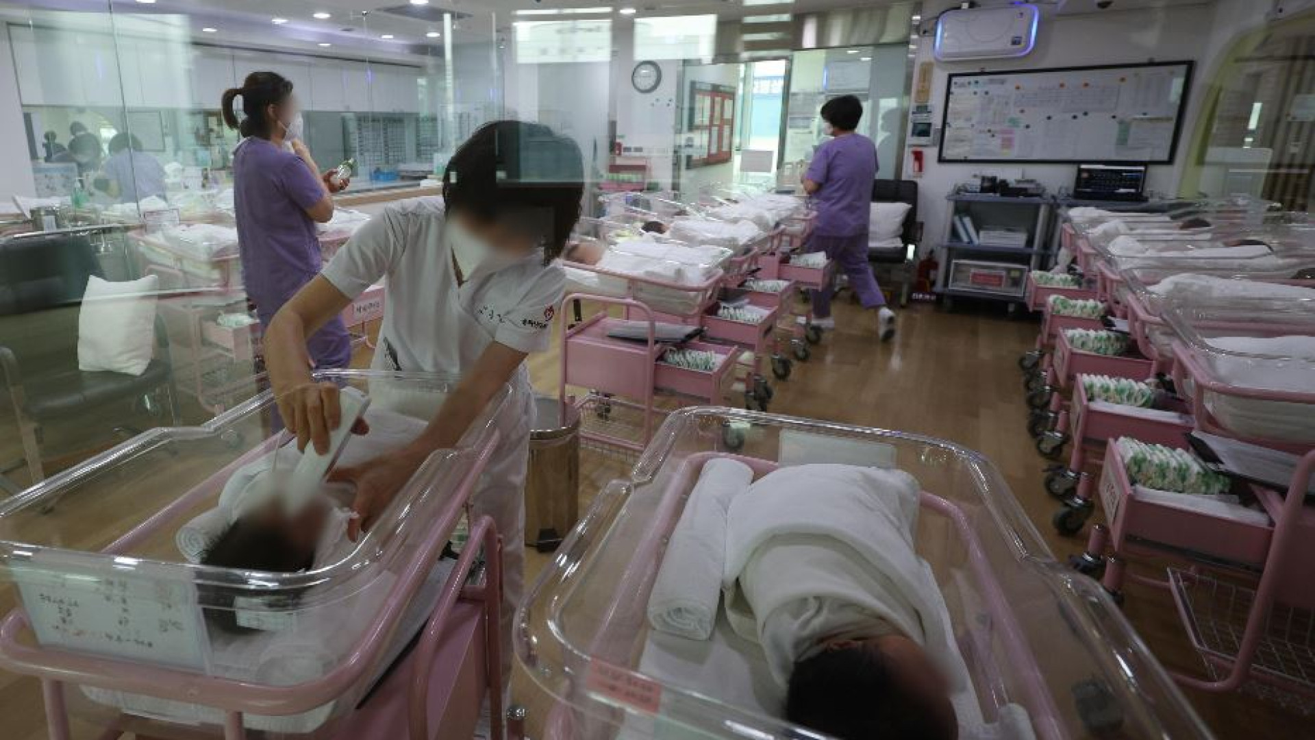 Immagine di In Corea del Sud è in corso una primavera demografica che resiste