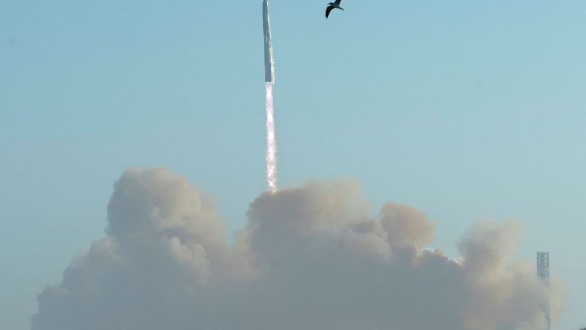 Immagine di SpaceX: successo a metà per Starship, con spettacolo nei cieli