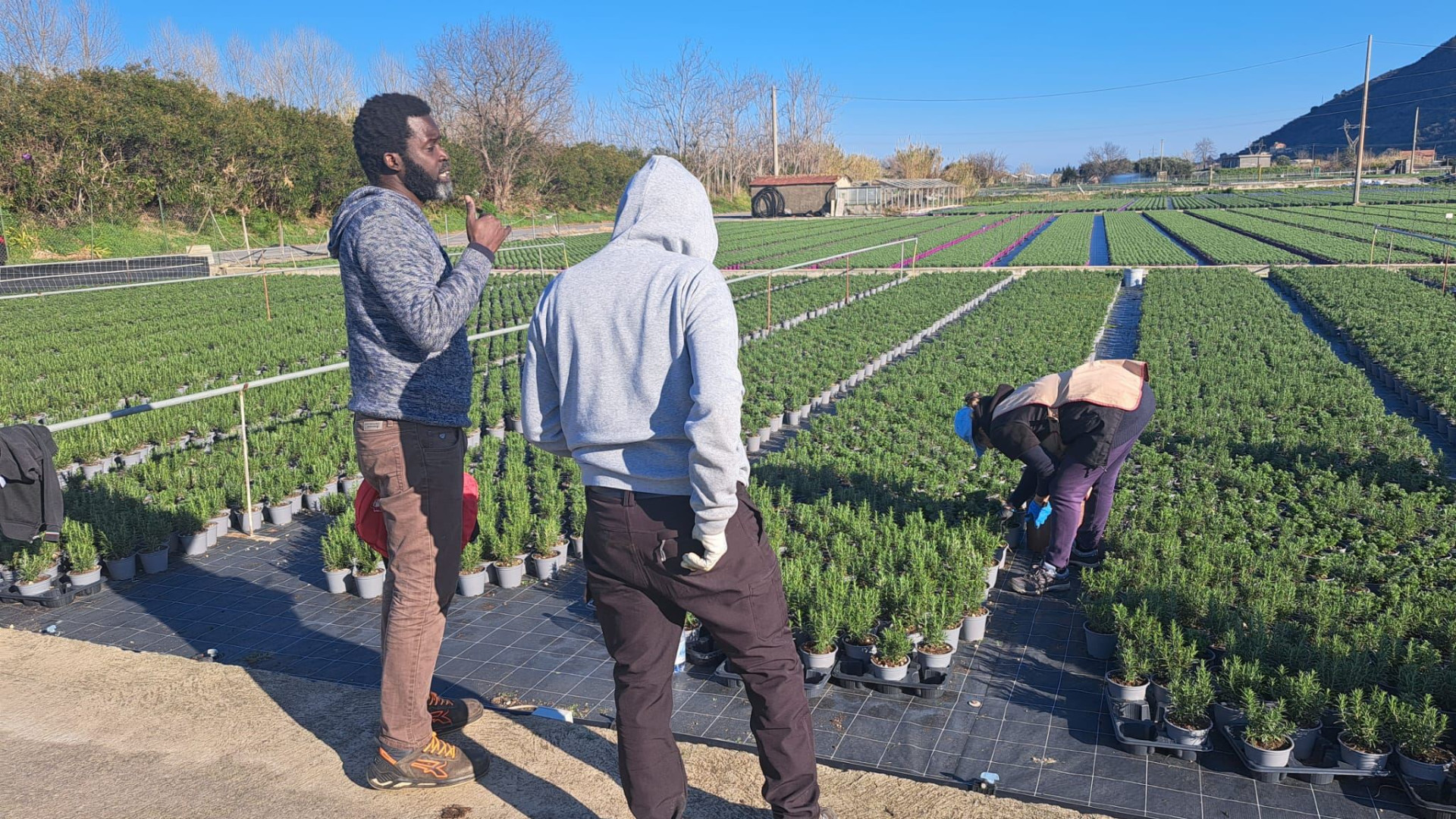Immagine di Un sindacalista tra gli sfruttati. «Nei campi raccolgo le loro denunce»