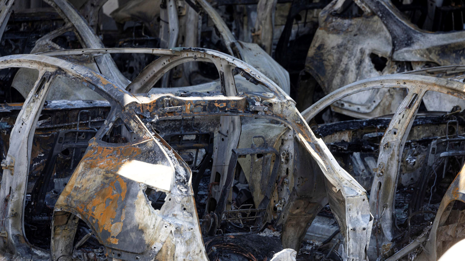 Immagine di Rogo alla concessionaria Tesla. Musk: "Terrorismo"