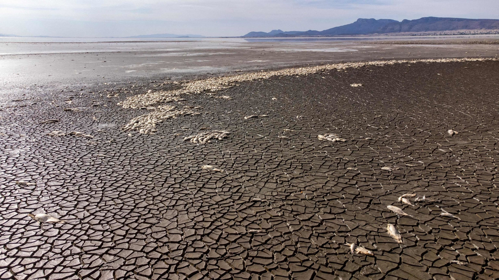 Immagine di Sostenibilità, il mondo in ritardo