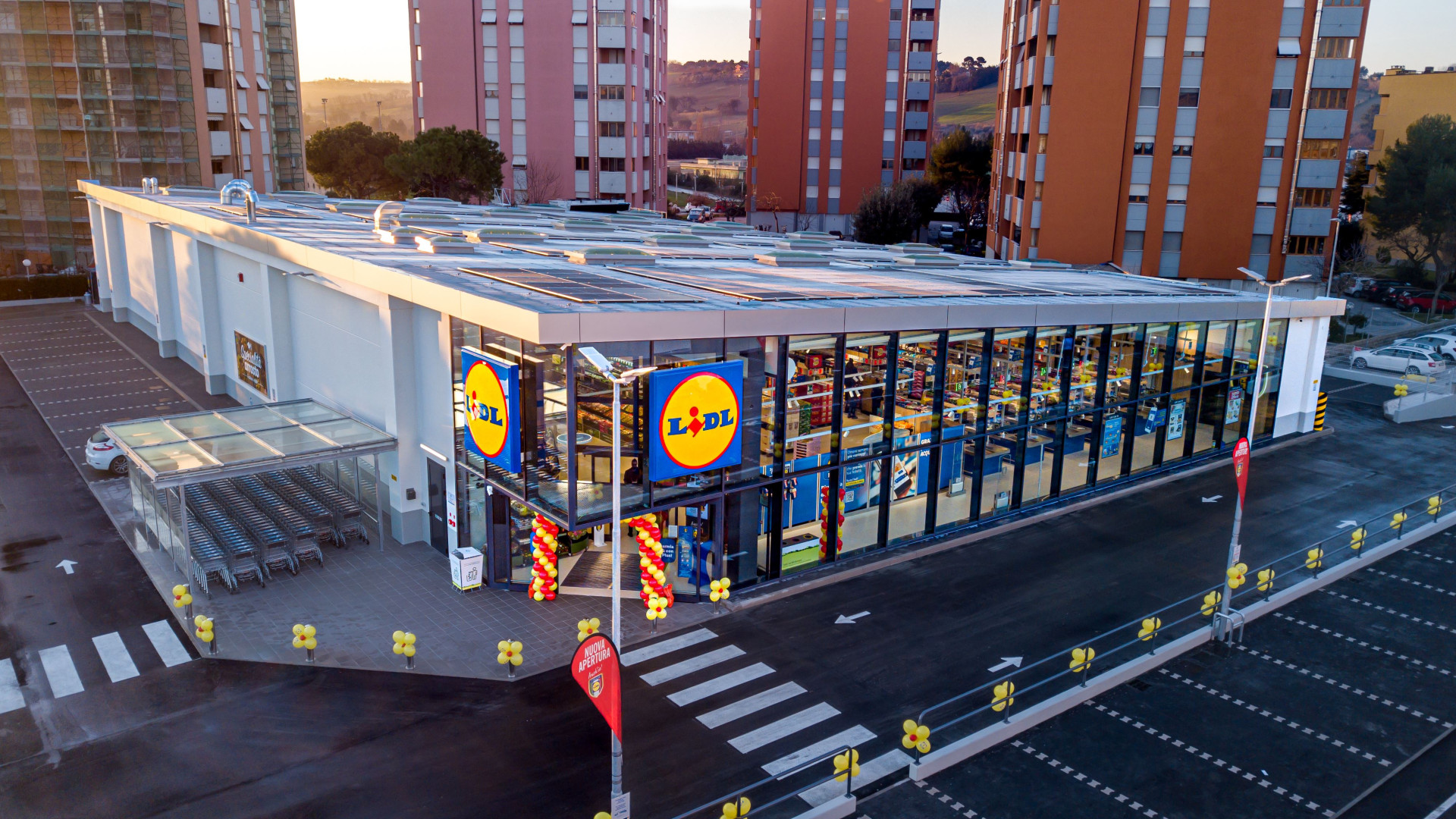 Immagine di Lidl ricerca 100 persone in Friuli Venezia Giulia