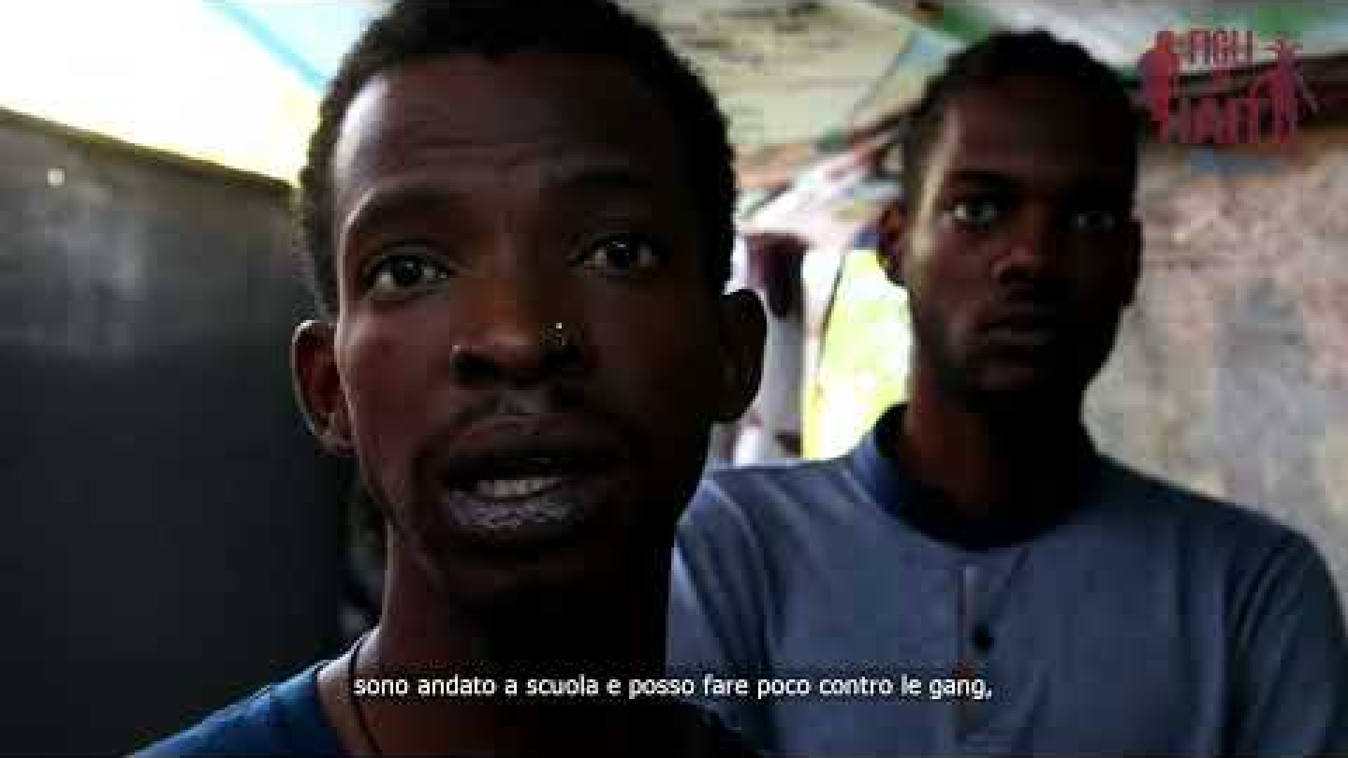 Immagine di Figli di Haiti, lo siamo anche noi