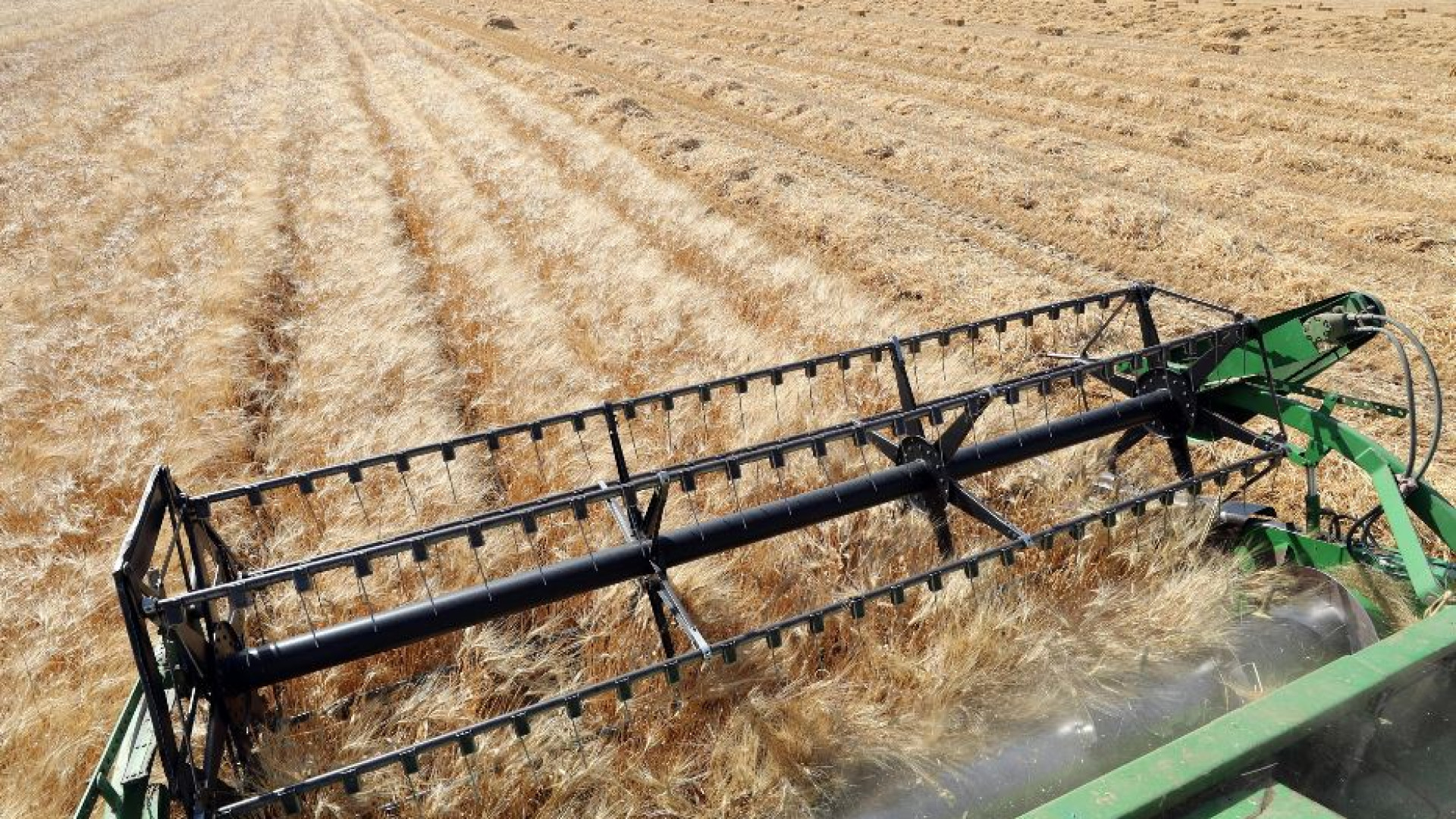 Immagine di Sale per il terzo mese consecutivo l'indice Fao