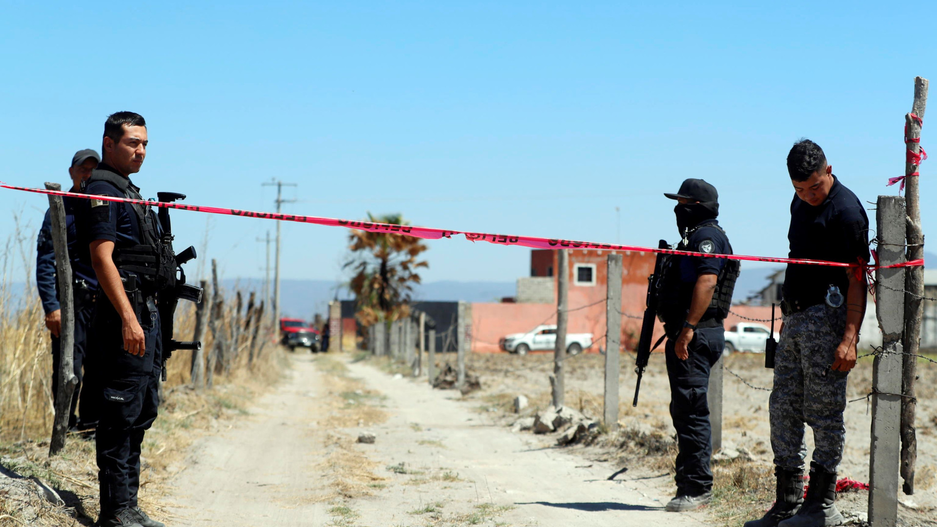 Immagine di L'orrore dei narcos non ha fine: scoperto un campo di sterminio in Jalisco