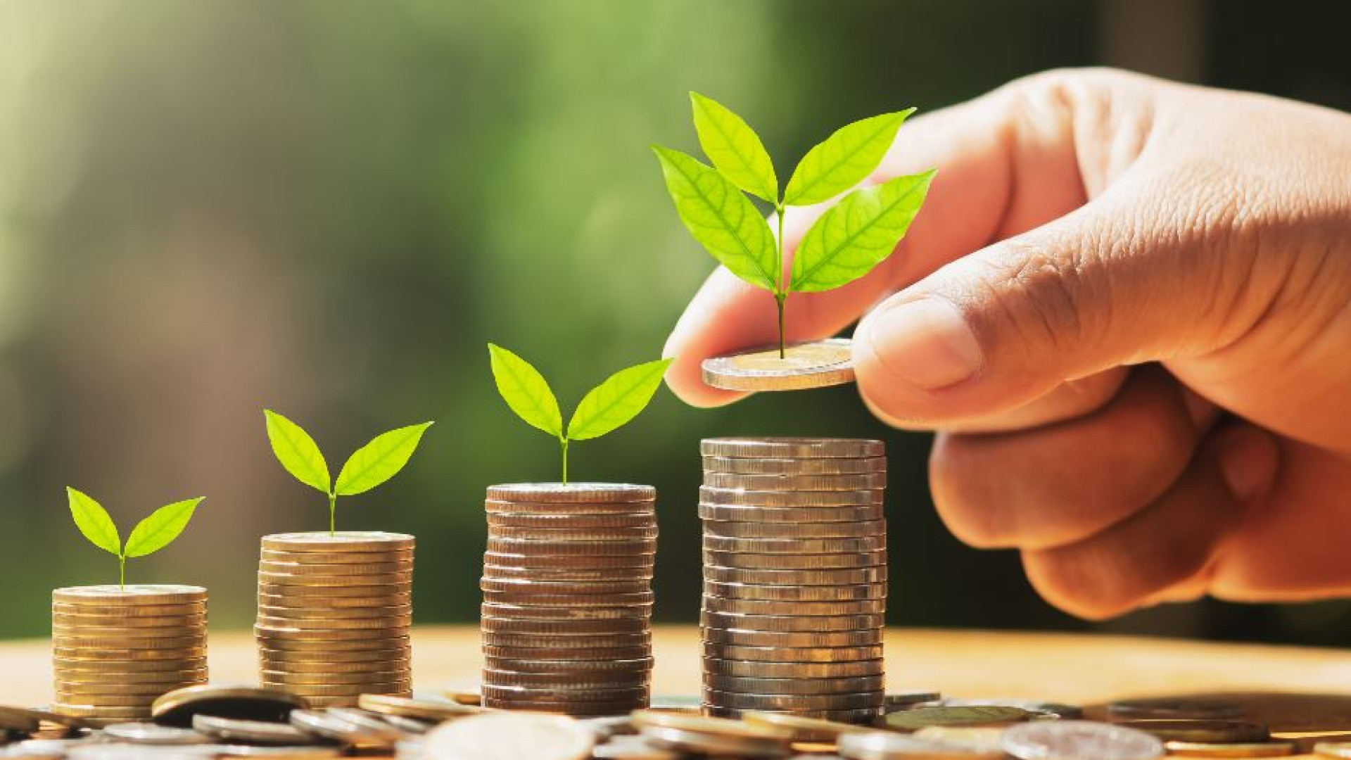 Immagine di Le società benefit crescono di più perché investono sulle persone