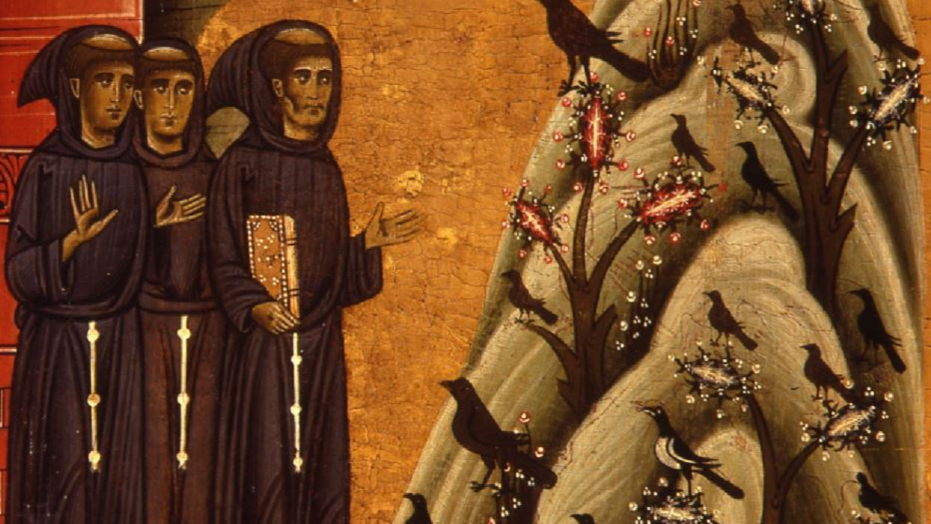 Immagine di Pietro Maranesi: «San Francesco è il precursore dell’ecologia integrale»