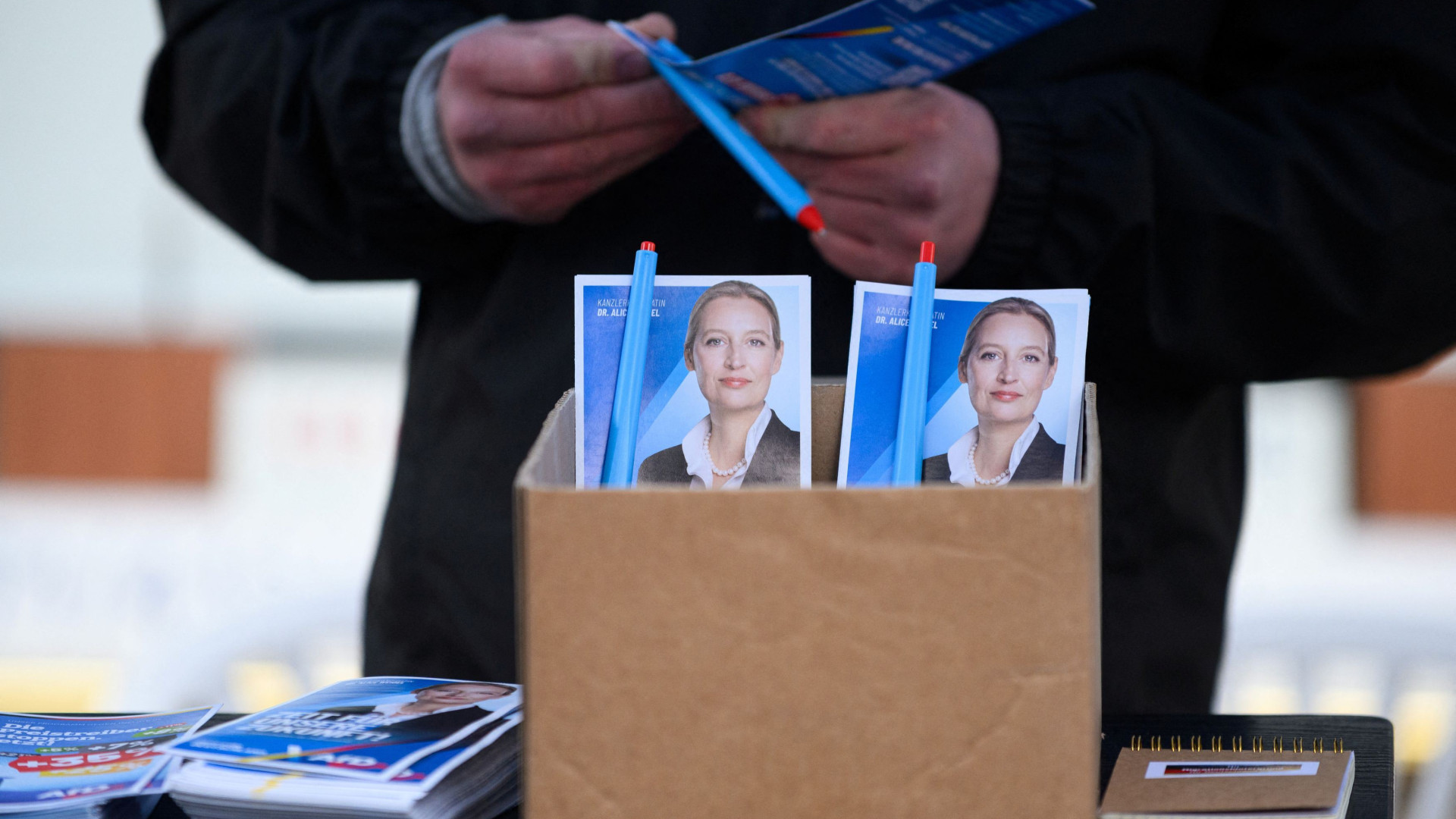 Immagine di I vescovi tedeschi: «Afd è incompatibile con democrazia e valori cristiani»
