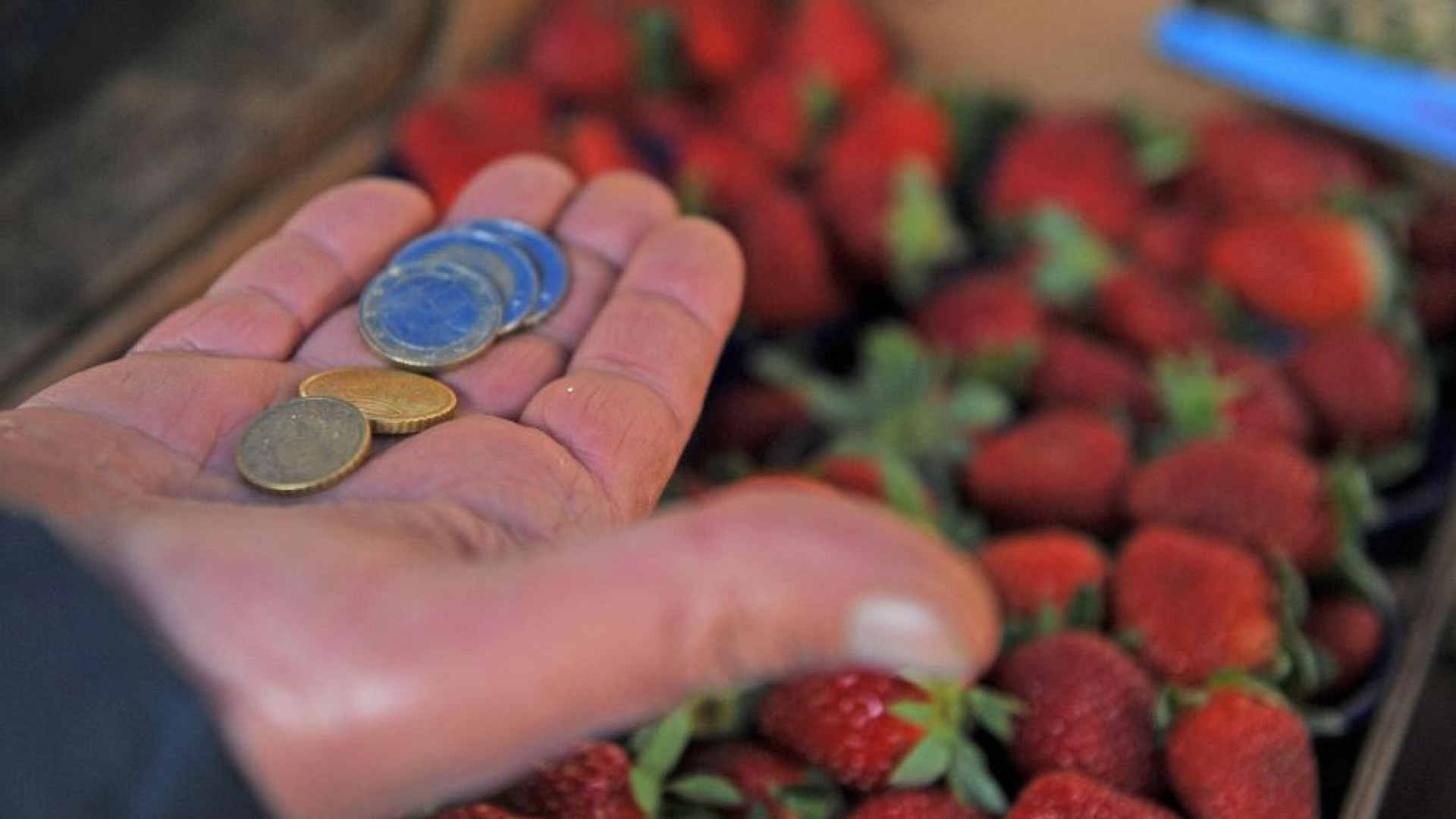 Immagine di Un pacchetto di fragole per capire cosa vuol dire essere a rischio povertà