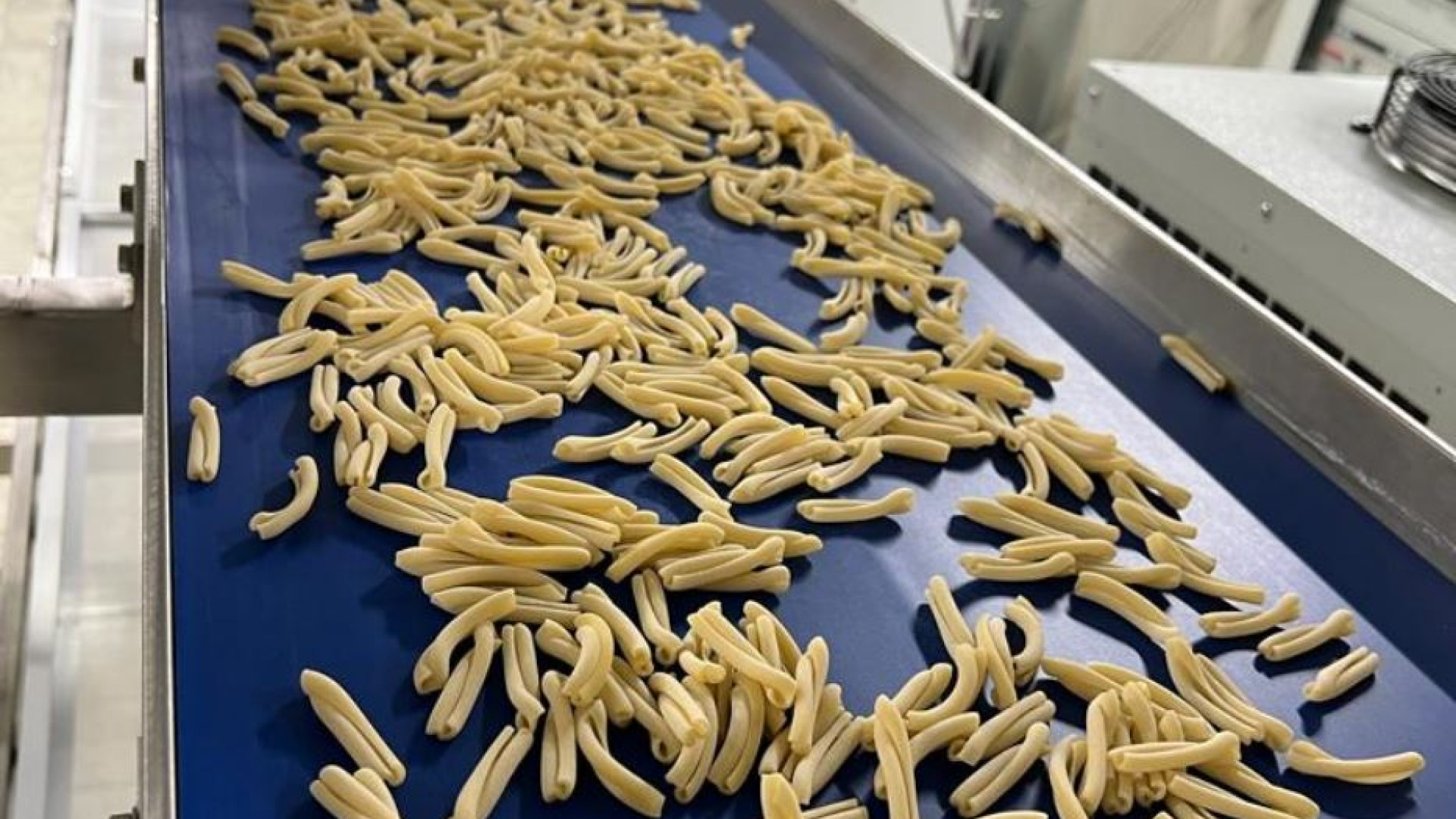 Immagine di Nel carcere di Casal del Marmo lavoro e pasta per ricominciare
