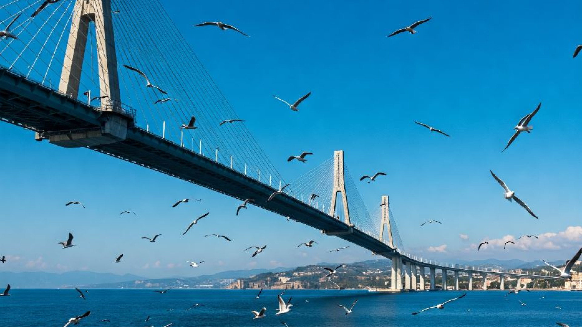 Immagine di «Contro il ponte sullo Stretto tre azioni legali per il bene d'Italia»