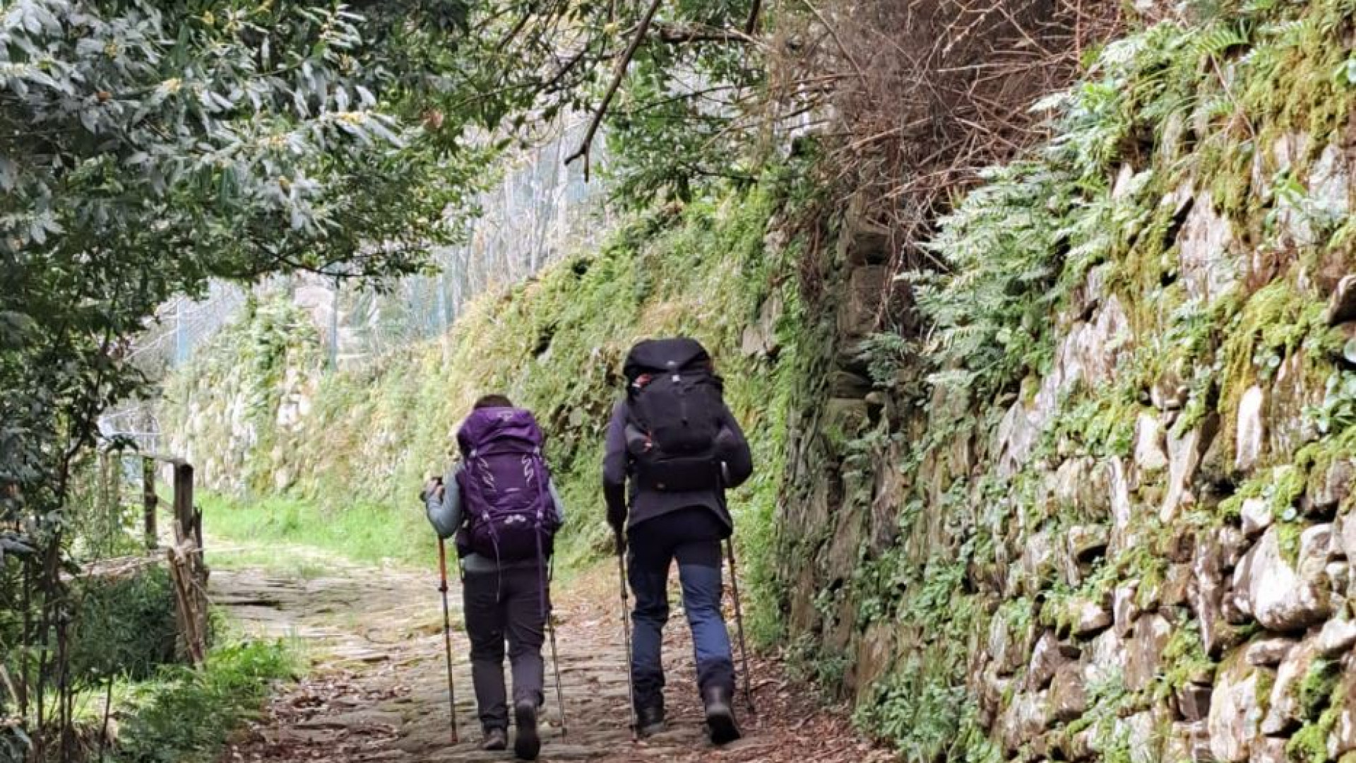 Immagine di «Cammini e pellegrini, così la speranza si mette in marcia»