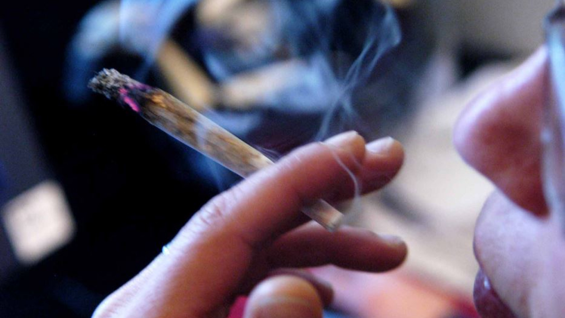 Immagine di Giovani e cannabis, in gioco la fertilità
